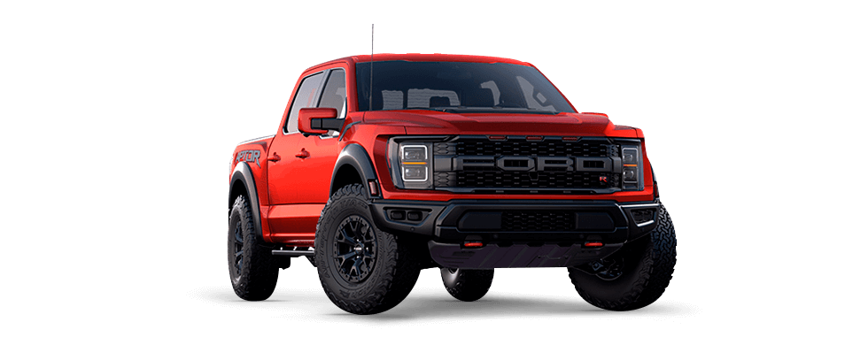 LOBO RAPTOR lobo en venta en queretaro LOBO RAPTOR